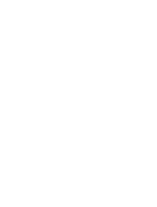 deer valley icon